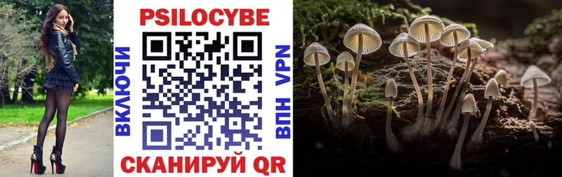 гидра вход  Велиж  Псилоцибиновые грибы мухоморы 